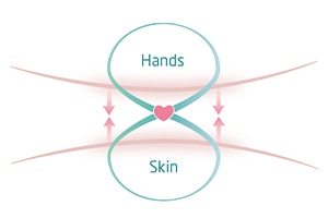Hands and skin connection diagram